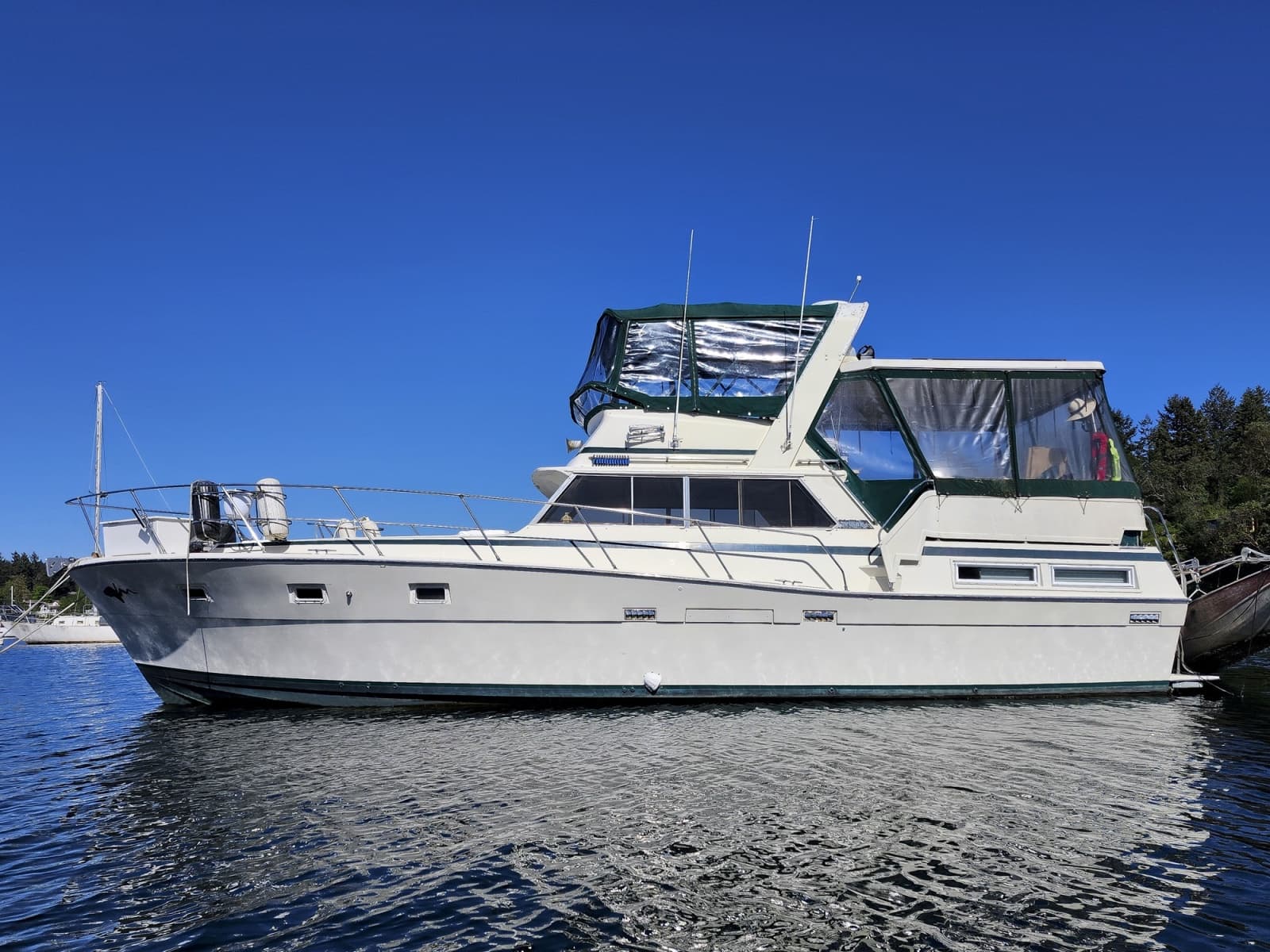 1977 Viking 43 - Photo 6