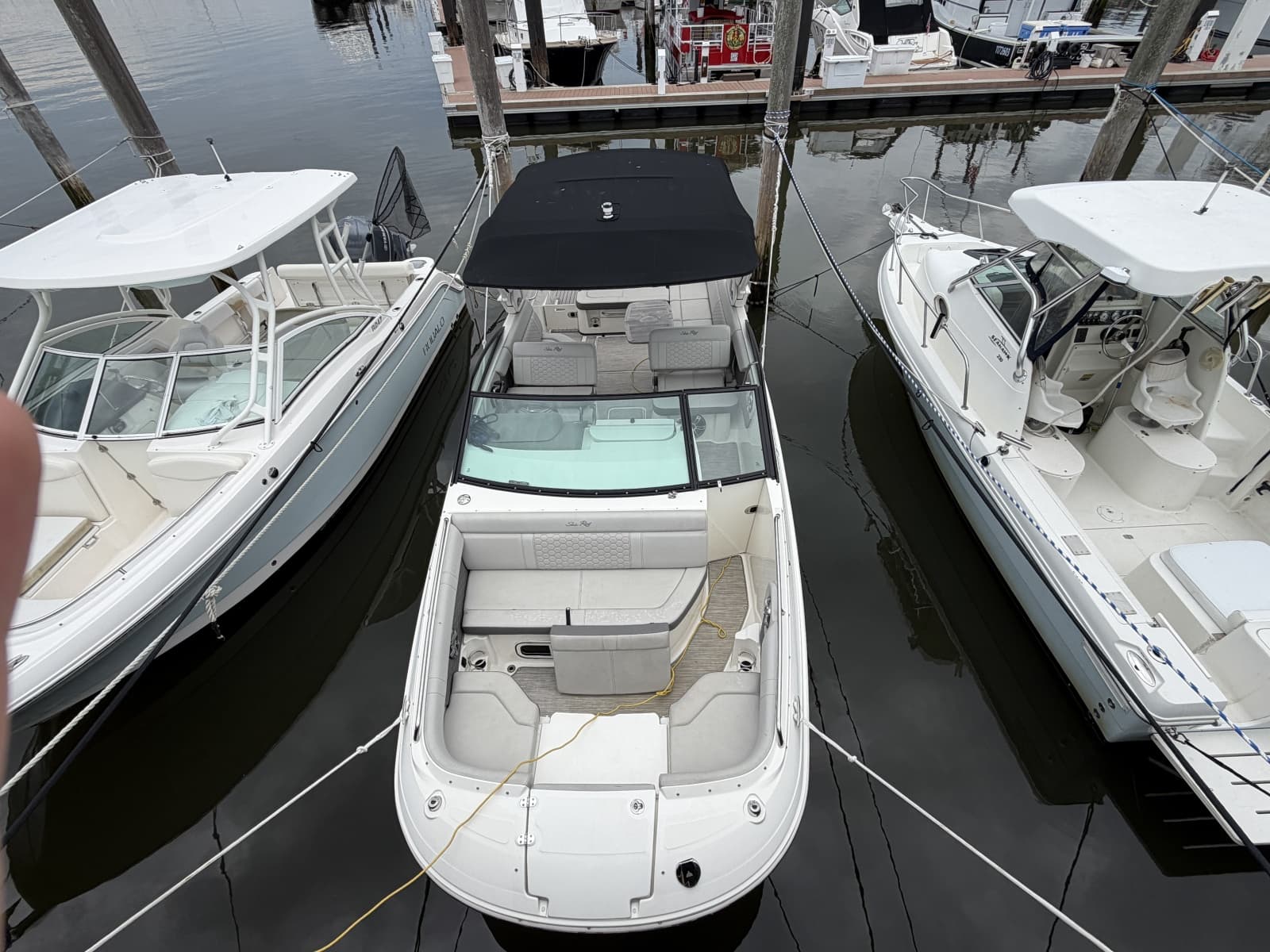 2023 Sea Ray 250 Outboard - Photo 2