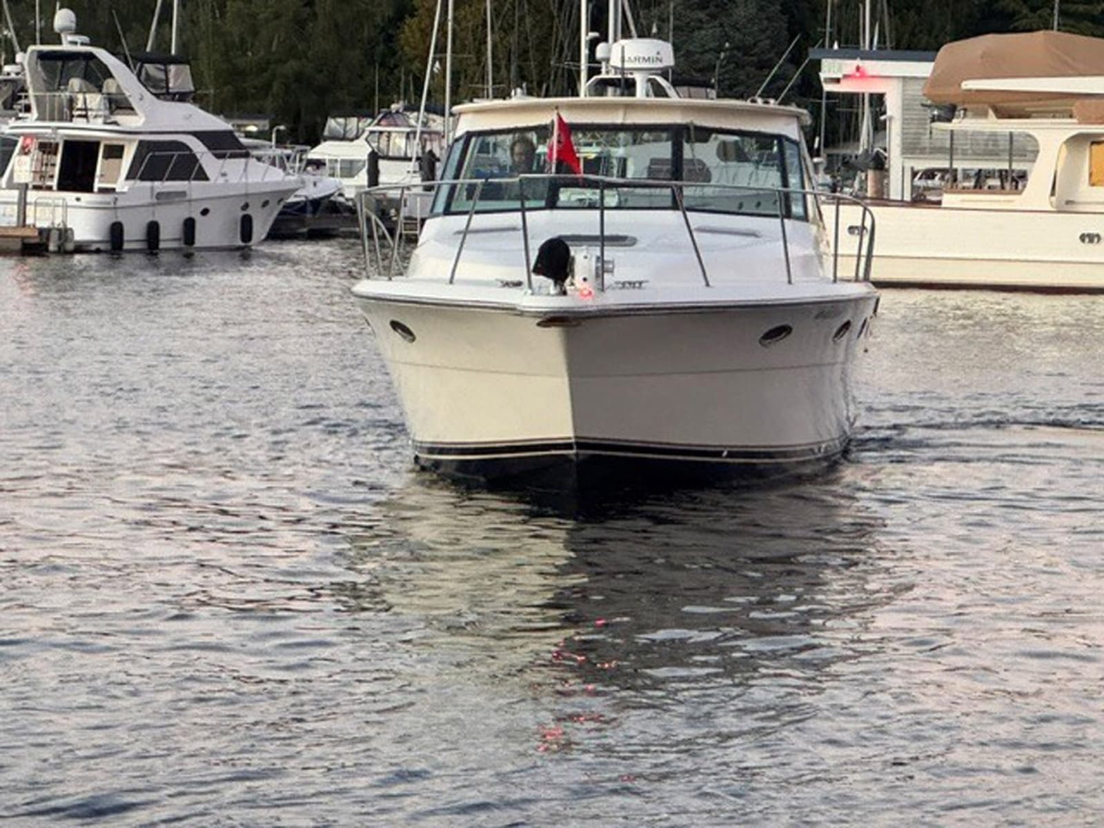 1988 Tiara Yachts 3300 Open - Photo 4