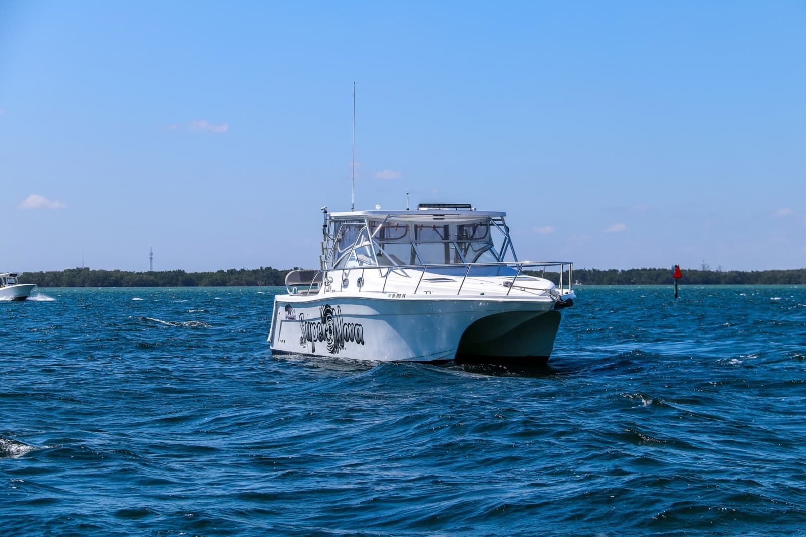 1993 Sumerset Houseboat - Photo 2