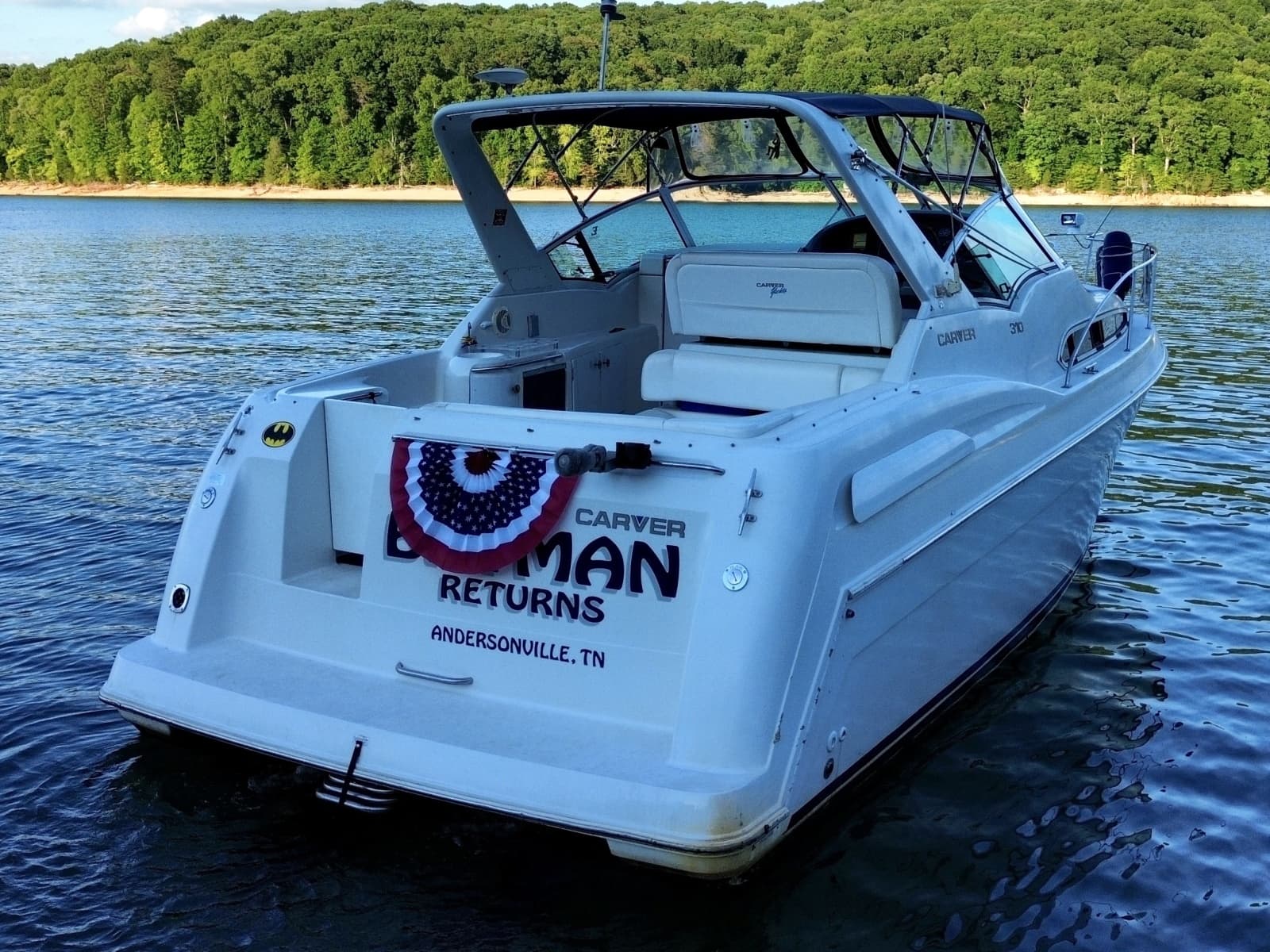 1996 Carver 310 Mid Cabin Express - Photo 20