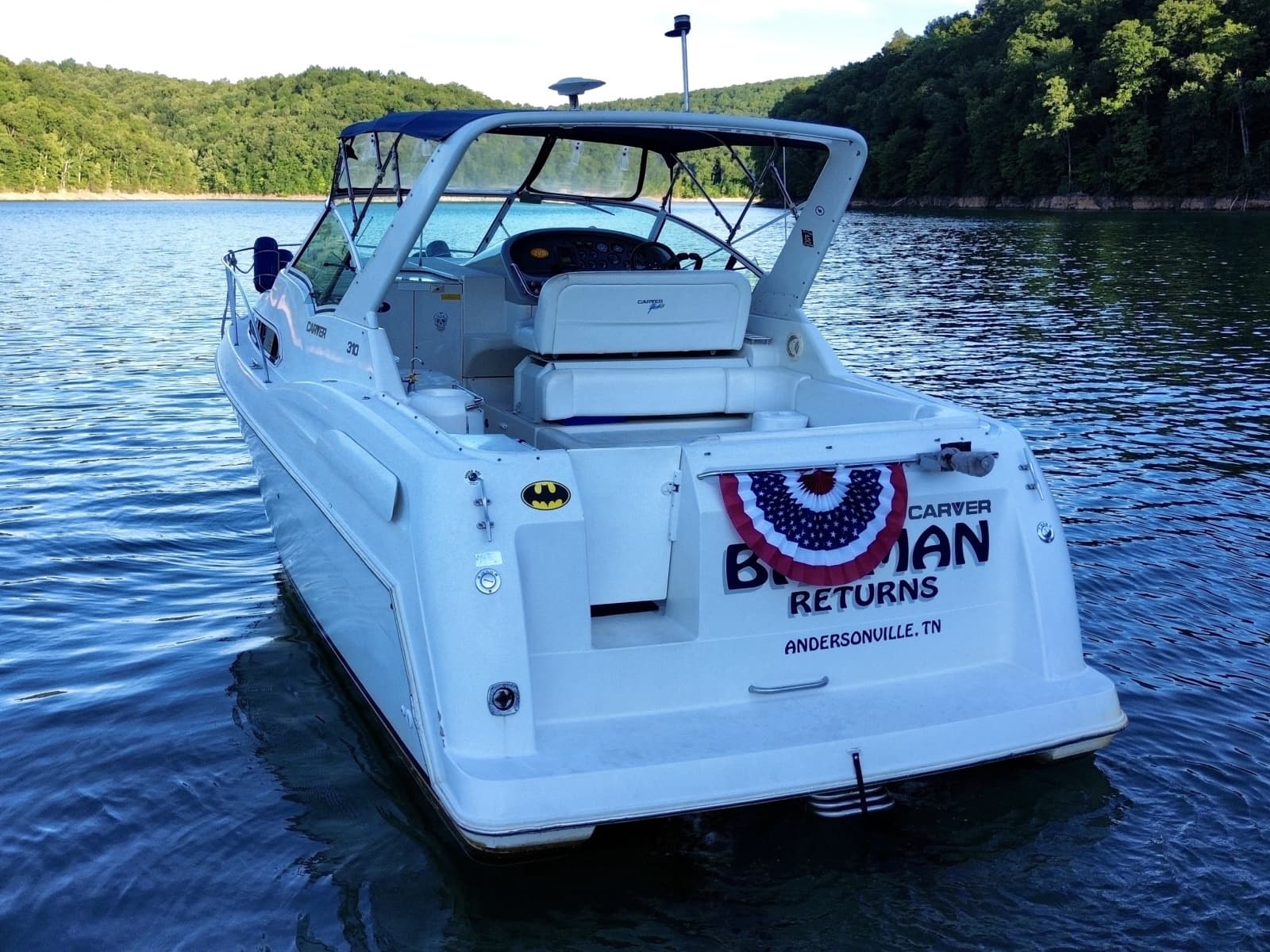 1996 Carver 310 Mid Cabin Express - Photo 16