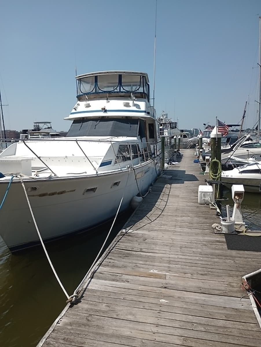 1986 Chris-Craft Constellation 500 - Photo 2
