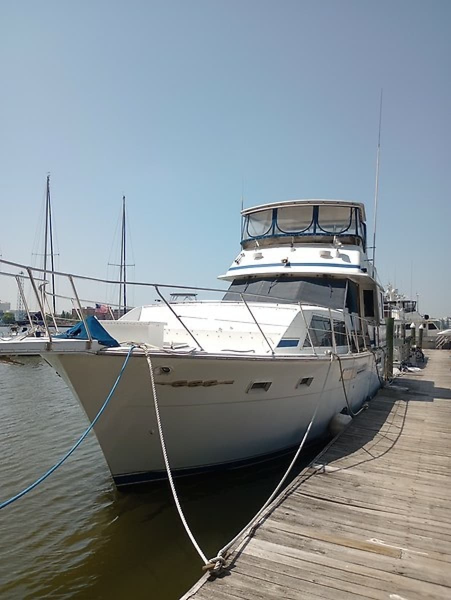1986 Chris-Craft Constellation 500 - Photo 1
