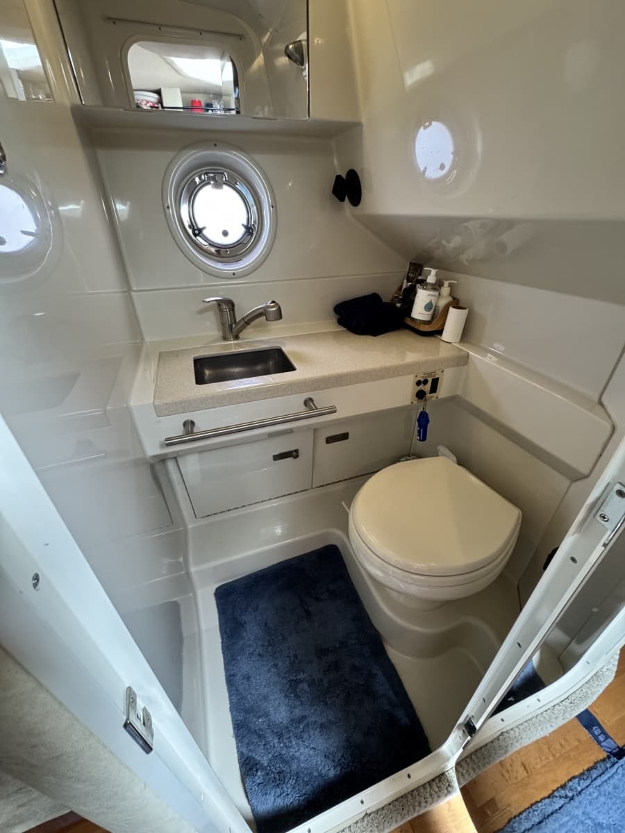 2010 Sea Ray 310 Sundancer - Photo 27