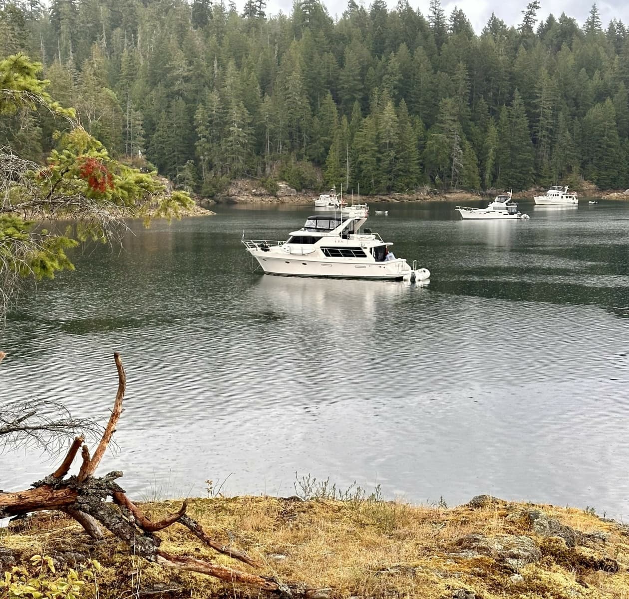 2000 Symbol 50 Pilothouse - Photo 46