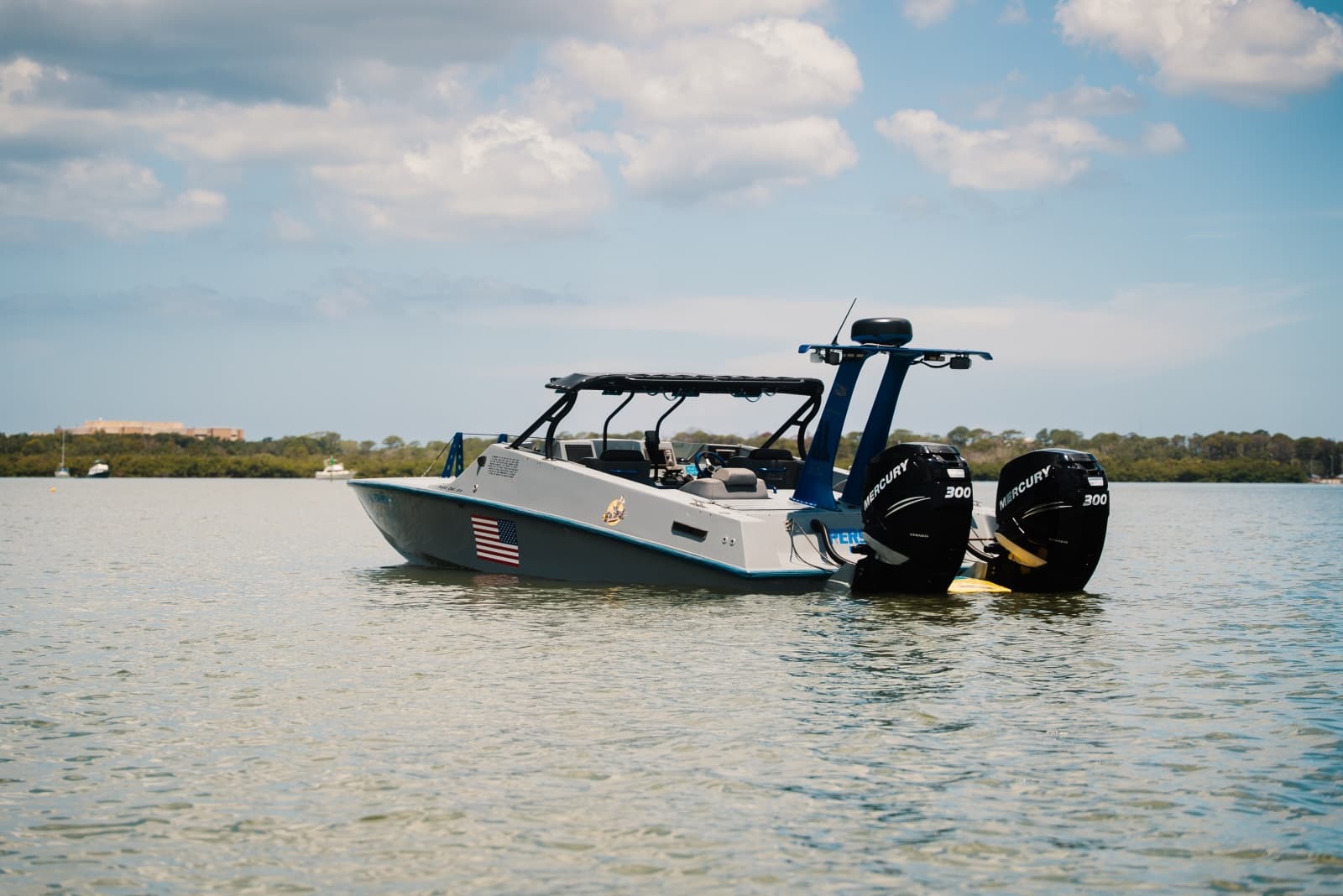 2002 Interceptor Nightcat 27 - Photo 92