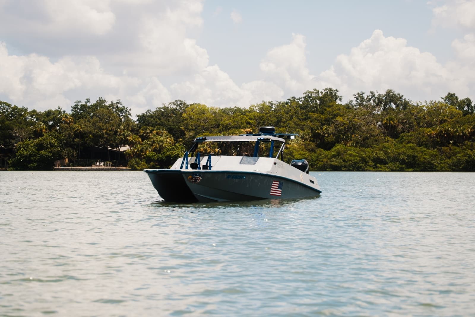 2002 Interceptor Nightcat 27 - Photo 76