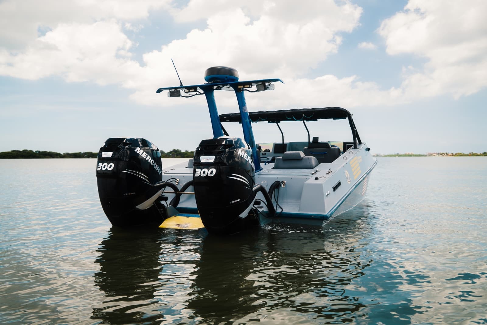 2002 Interceptor Nightcat 27 - Photo 117
