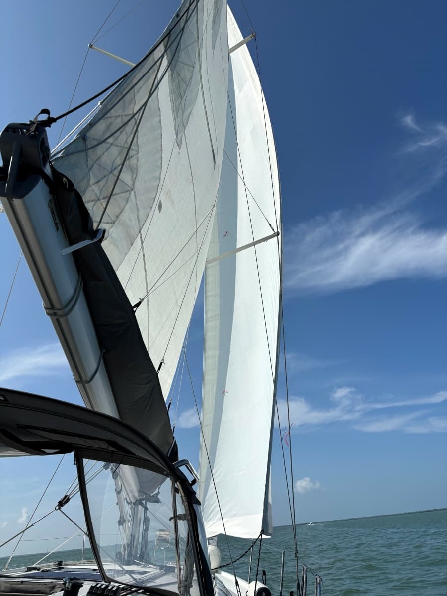 2019 Jeanneau Sun Odyssey 440 - Photo 35