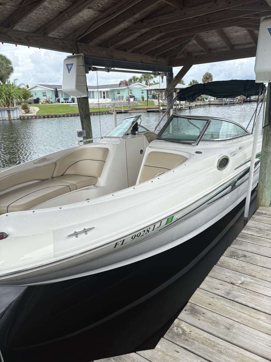 2001 Sea Ray  - Photo 1