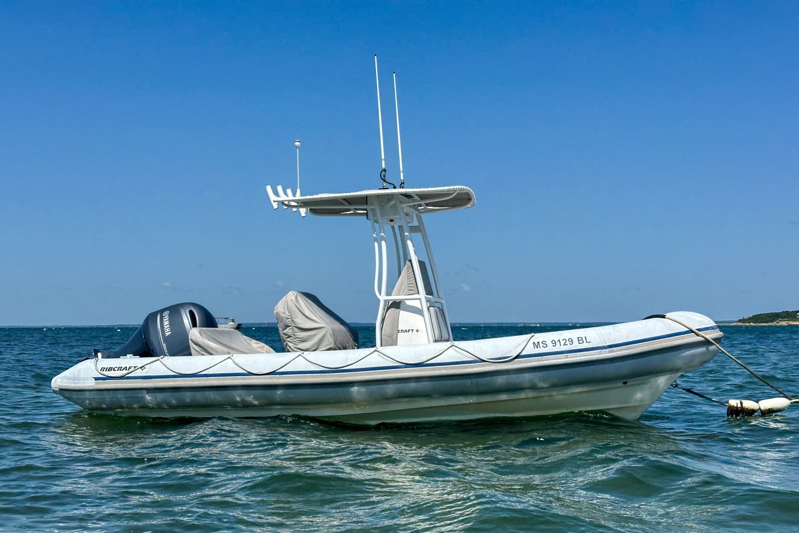 2019 Ribcraft  - Photo 1