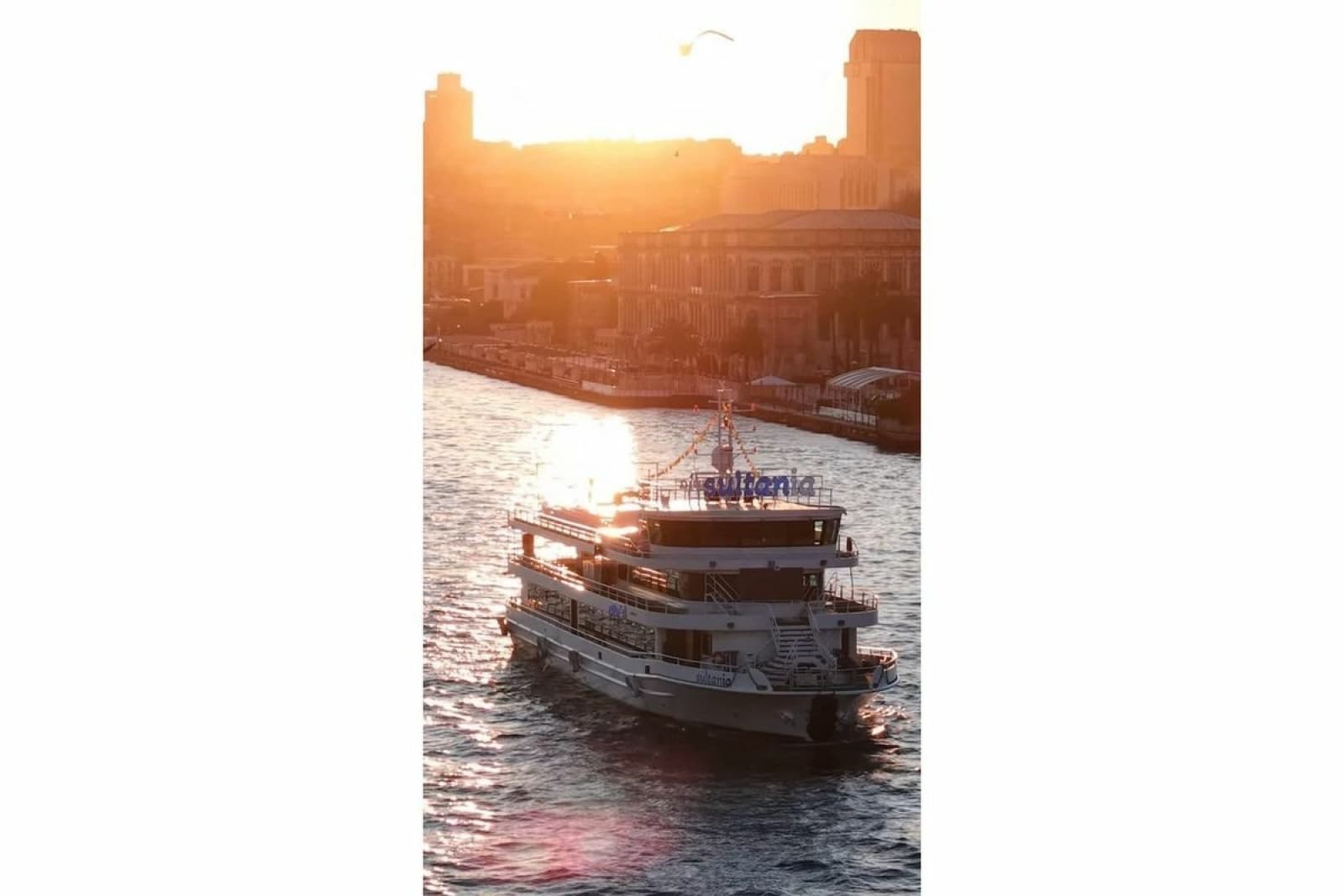 2012 Custom 46.9m Passenger Vessel - Photo 22