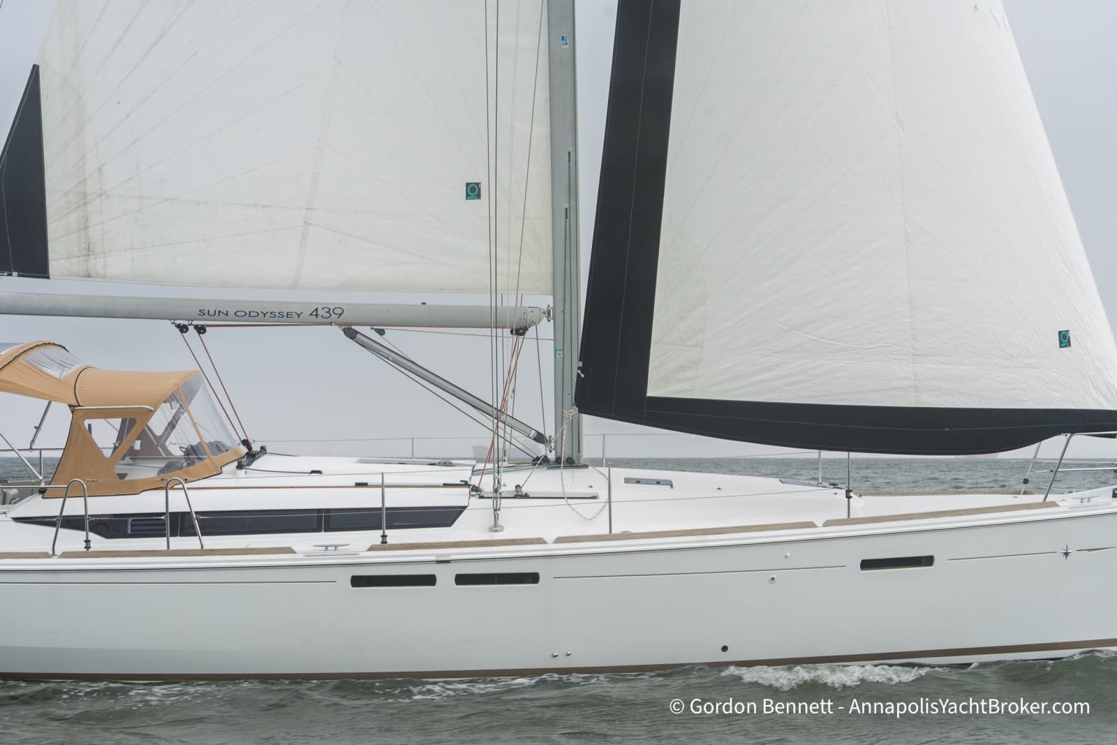 2015 Jeanneau Sun Odyssey 439 - Photo 11