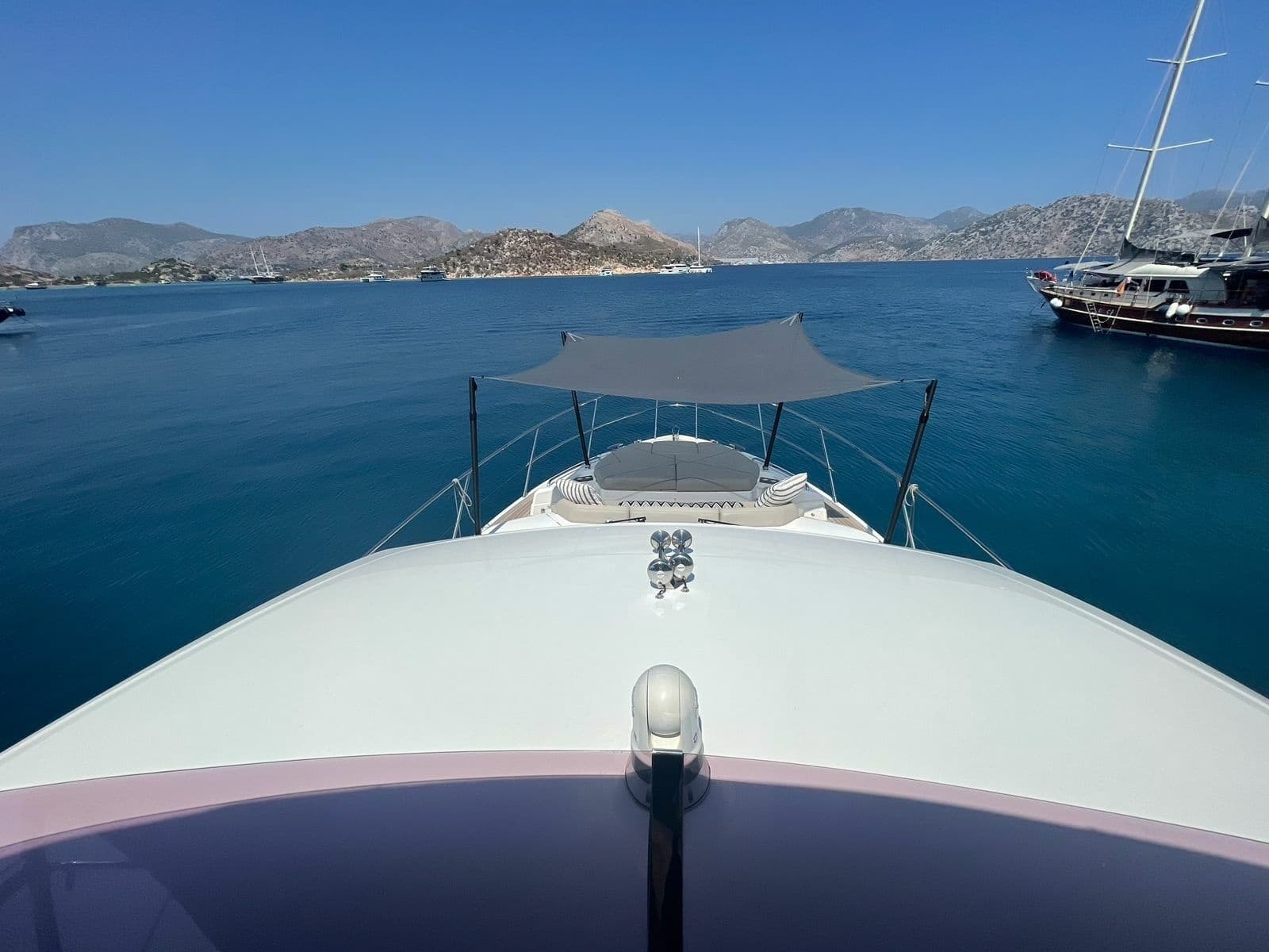 2019 Princess  - Photo 27