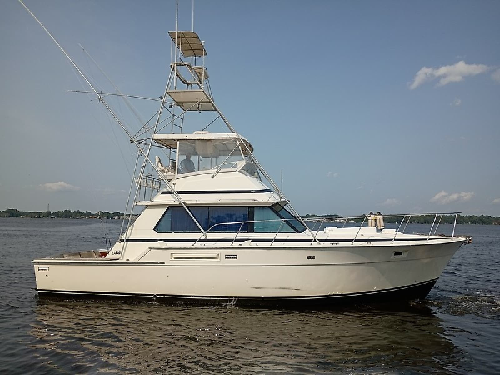 1978 Bertram Convertible - Photo 1