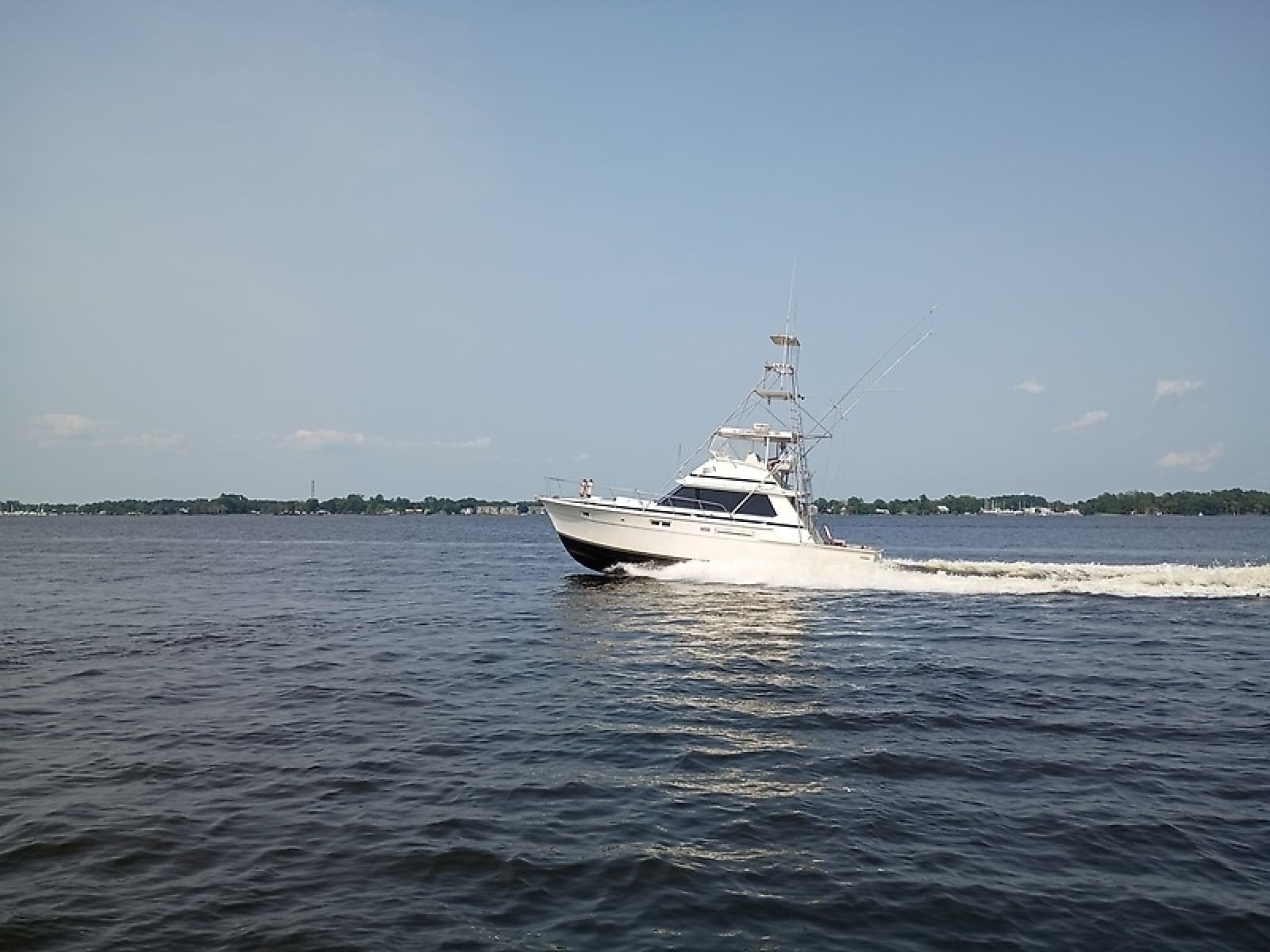 1978 Bertram Convertible - Photo 4