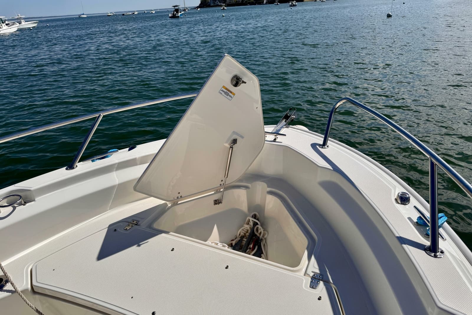 2022 Boston Whaler 220 Dauntless - Photo 9