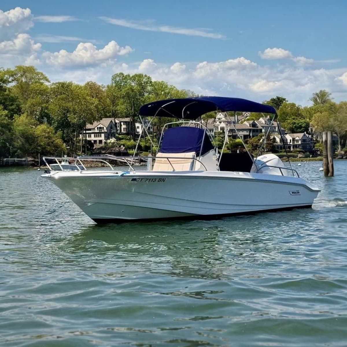 2022 Boston Whaler 220 Dauntless - Photo 1
