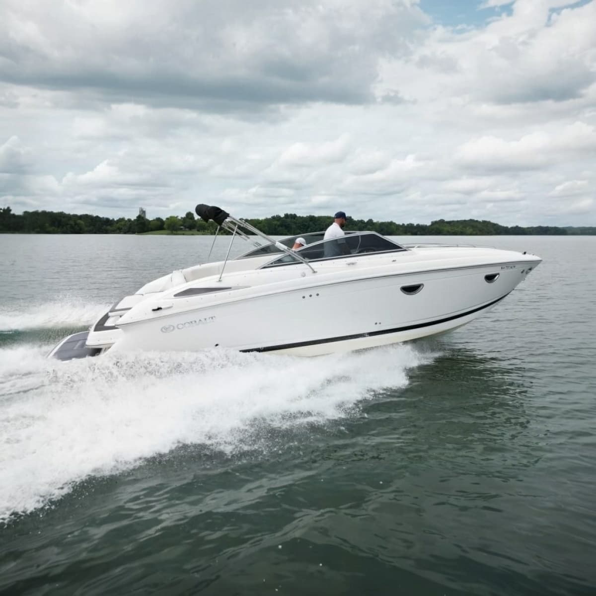 2008 Cobalt 303 - Photo 1