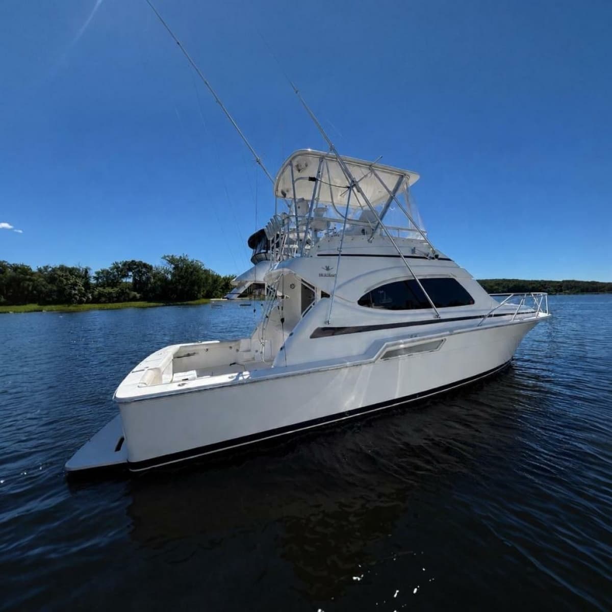 2002 Bertram 390 Convertible - Photo 2
