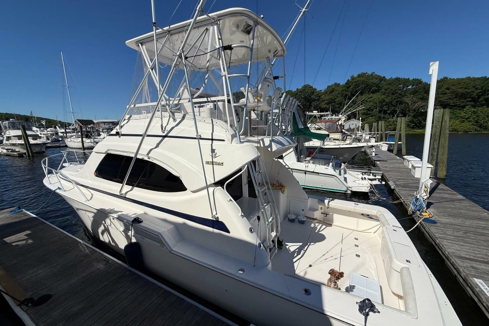 2002 Bertram 390 Convertible - Photo 3