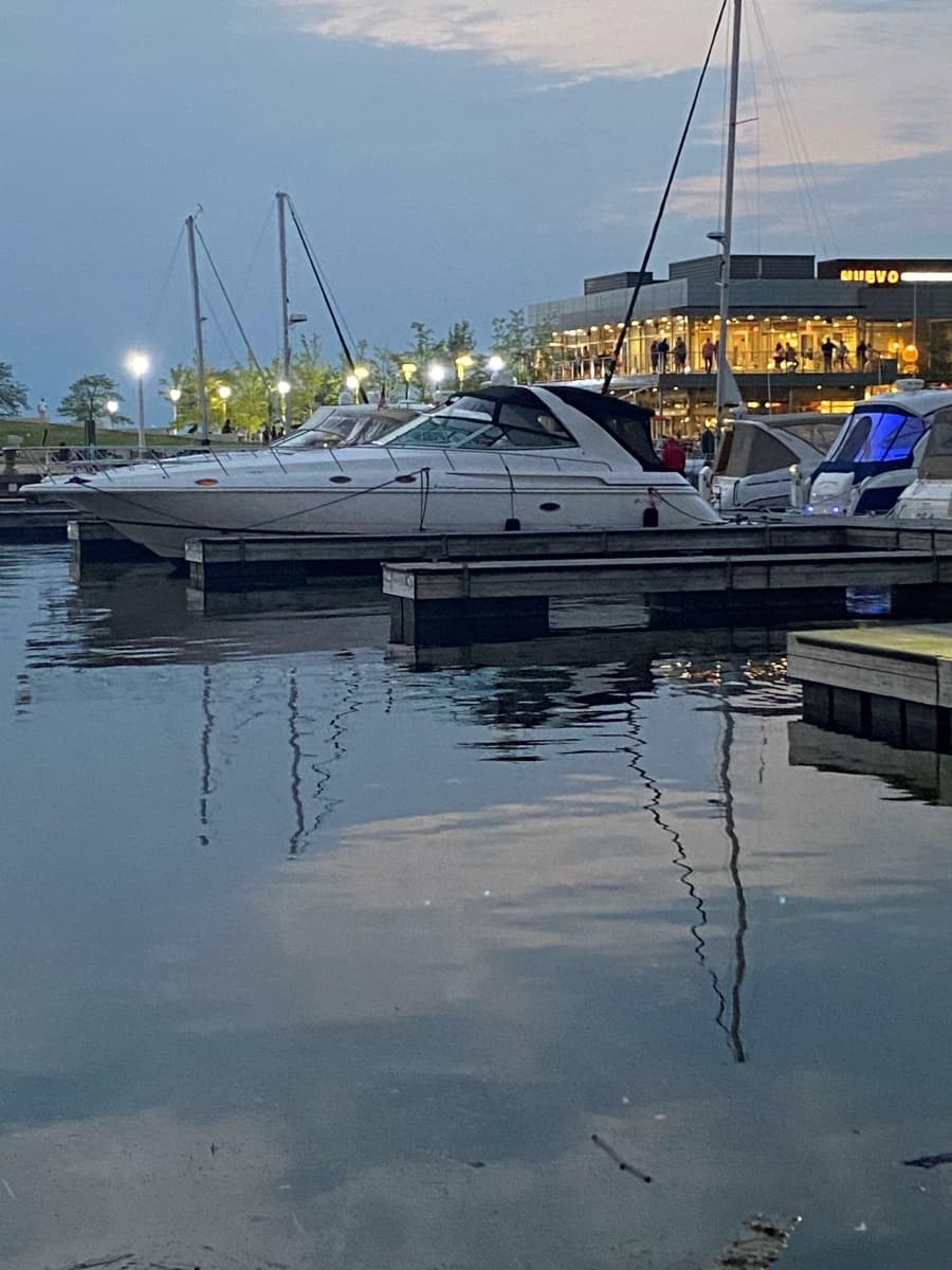 2002 Cruisers Yachts 4270 Express - Photo 4