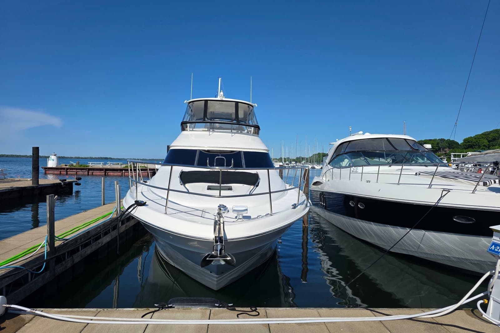 2002 Sea Ray 560 Sedan Bridge - Photo 5
