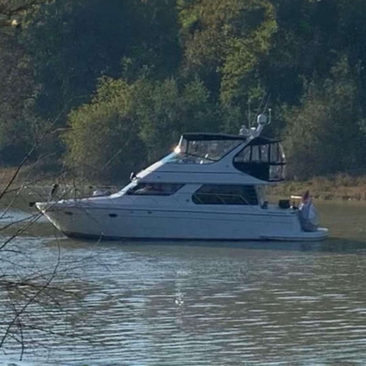1999 Carver 450 Voyager Pilothouse - Photo 1