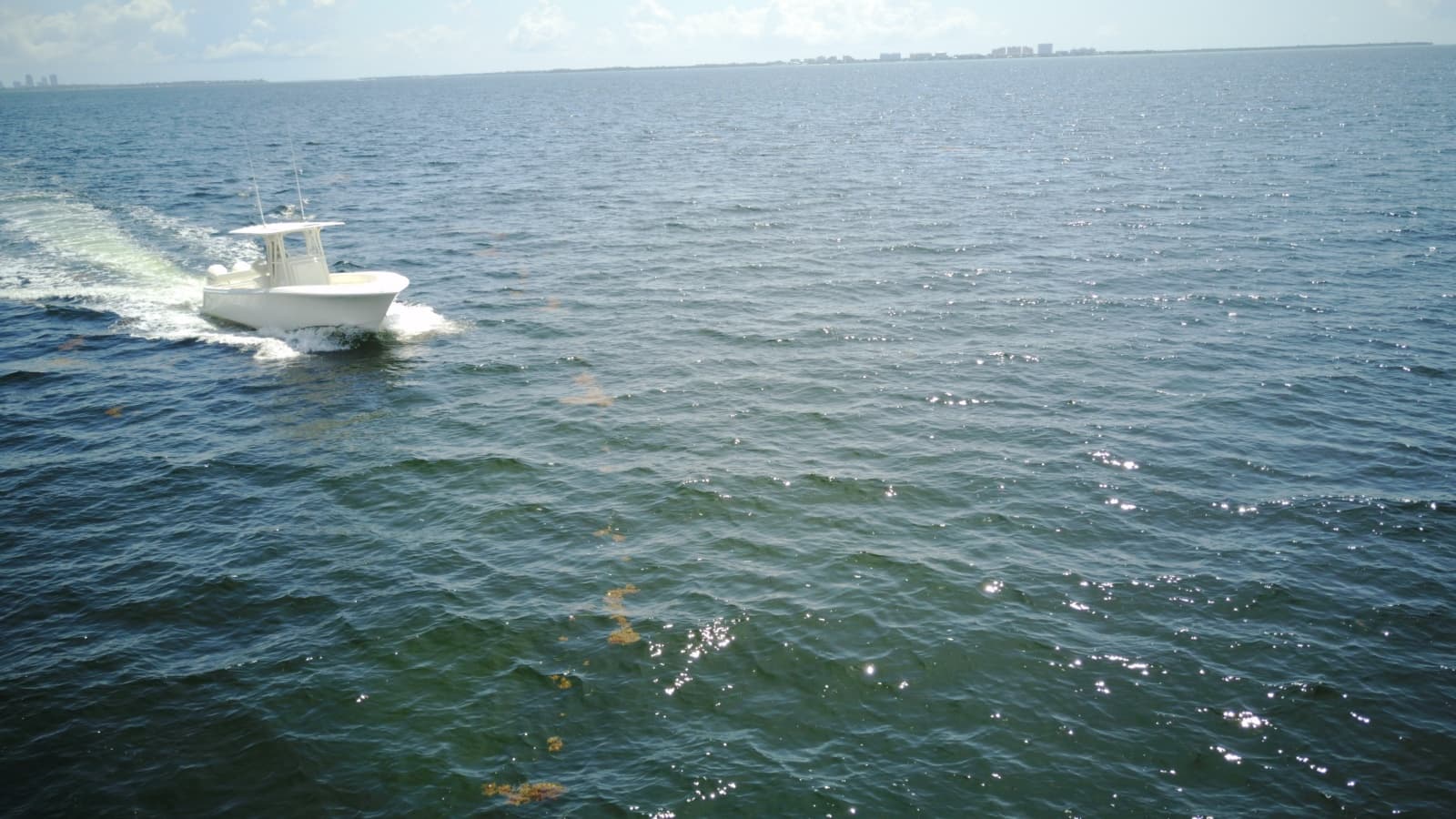 2023 SeaVee 290B - Photo 49