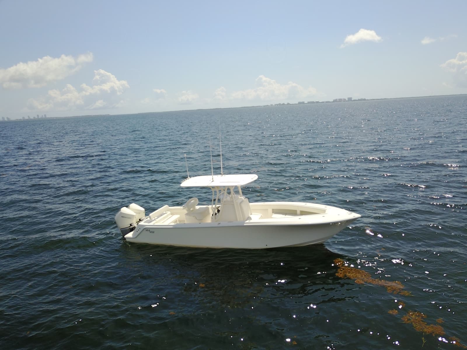 2023 SeaVee 290B - Photo 19