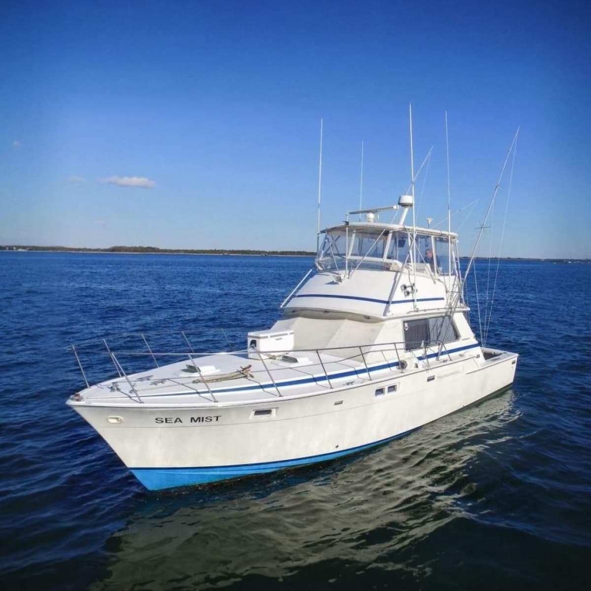1980 Bertram 42 Convertible - Photo 2