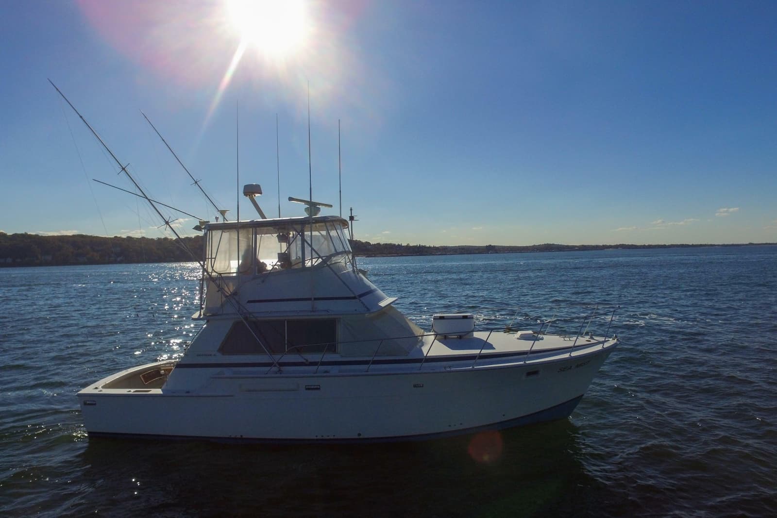 1980 Bertram 42 Convertible - Photo 6