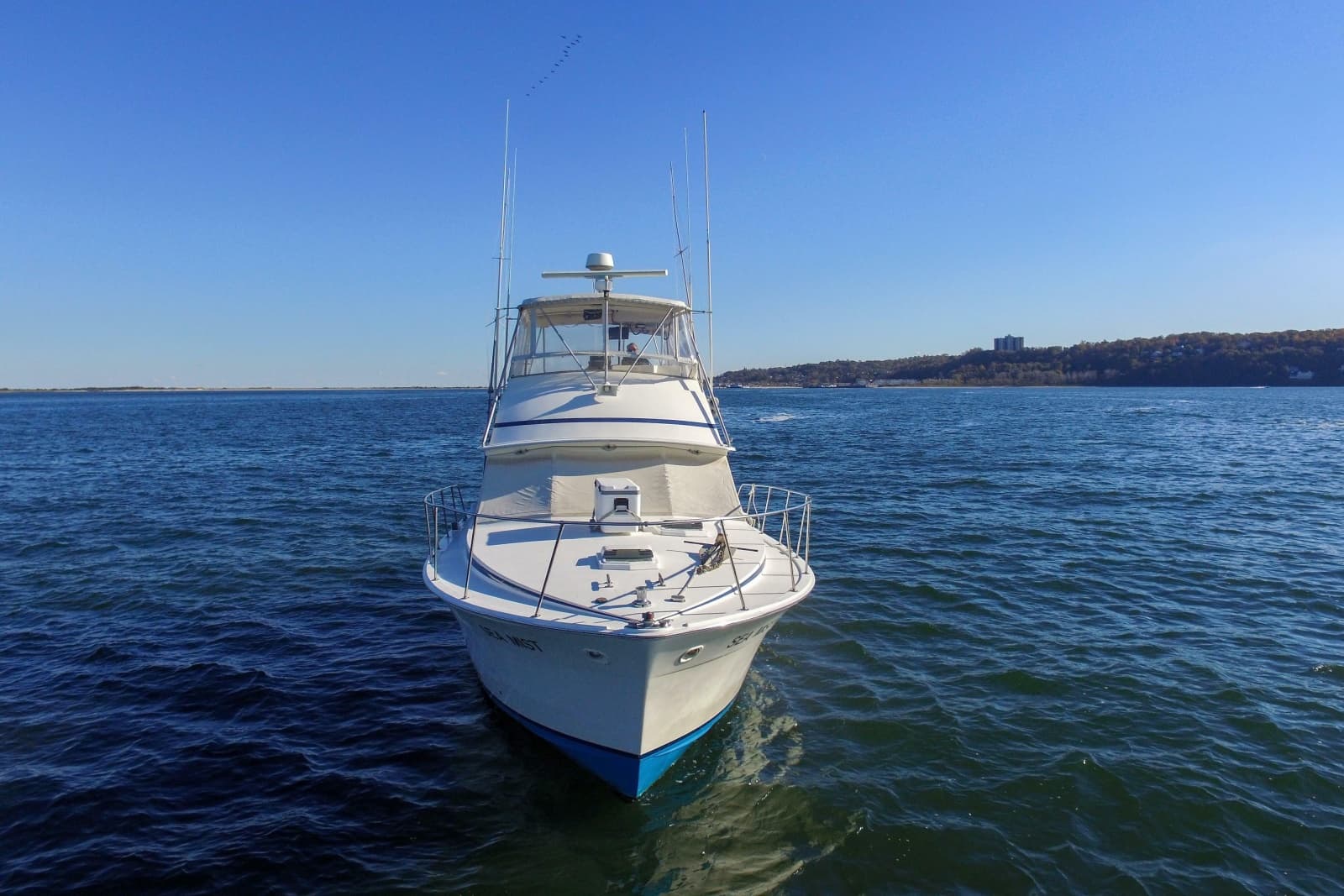1980 Bertram 42 Convertible - Photo 4
