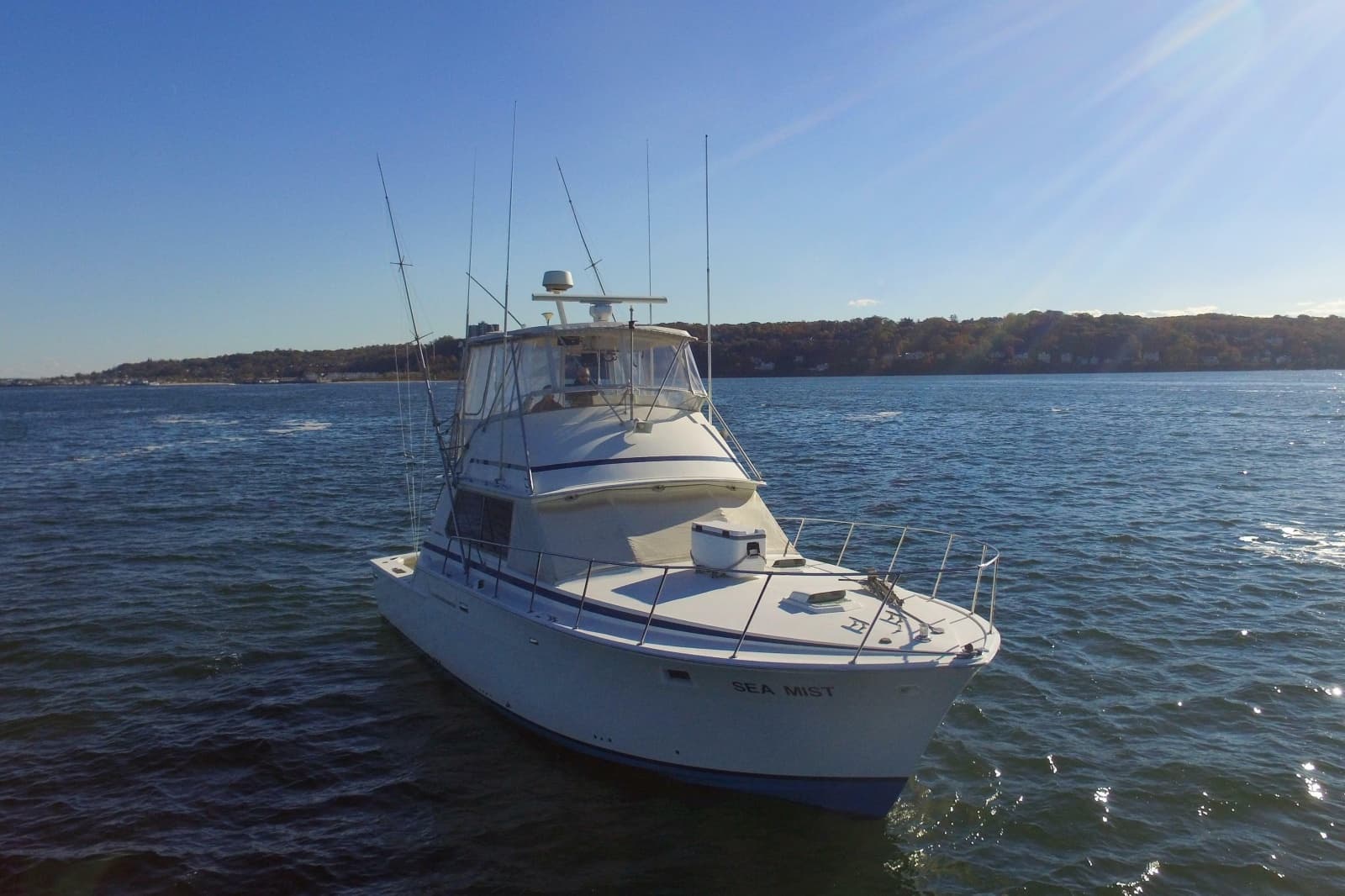 1980 Bertram 42 Convertible - Photo 5