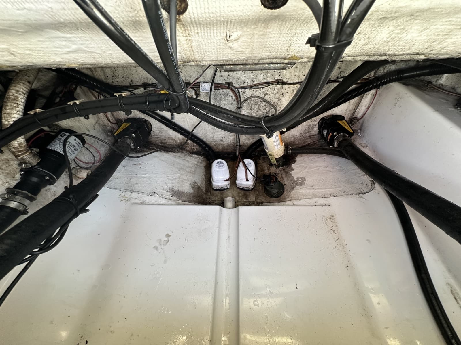 2019 Sportsman  - Photo 35