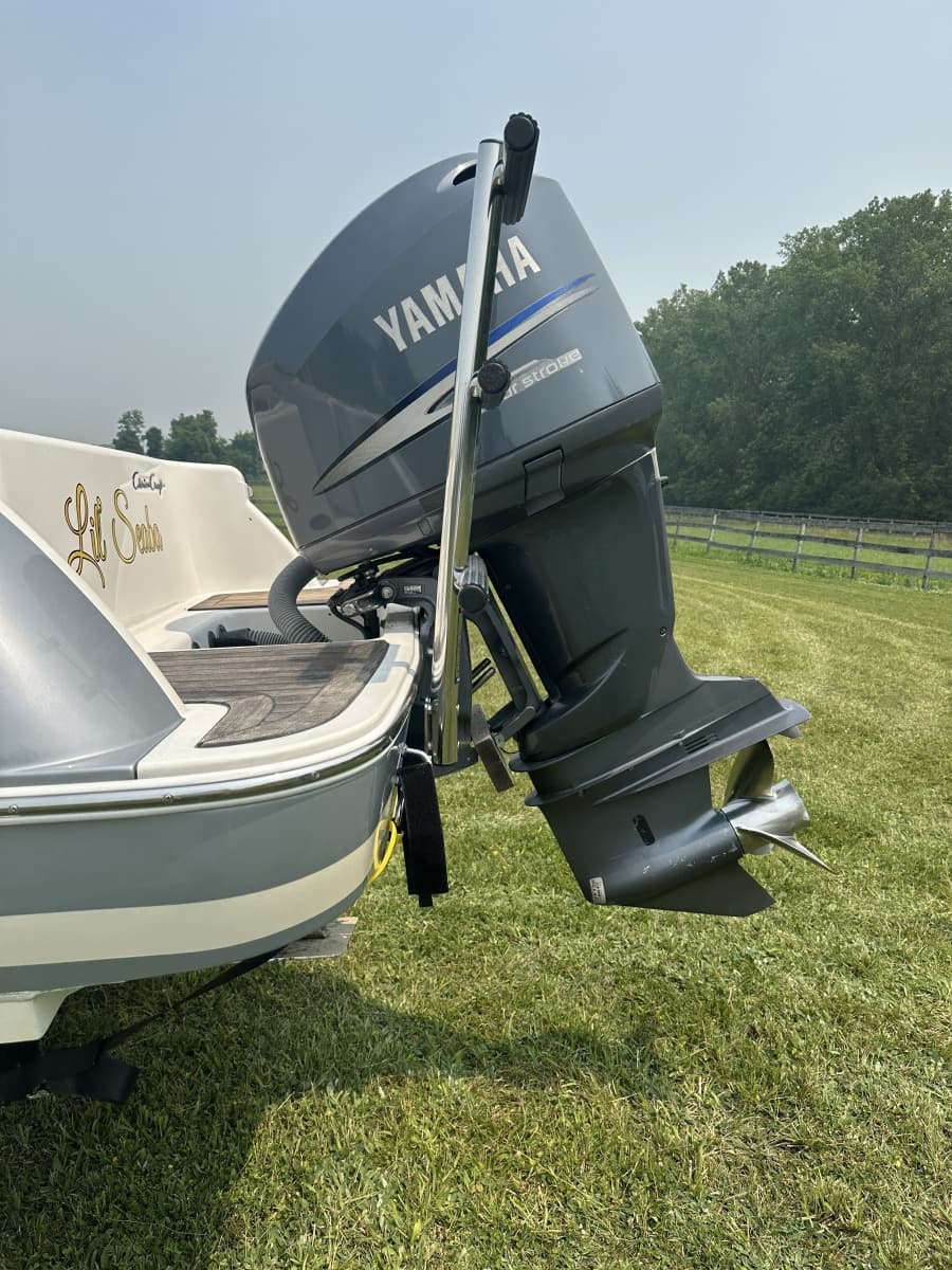 2007 Chris-Craft Catalina - Photo 8