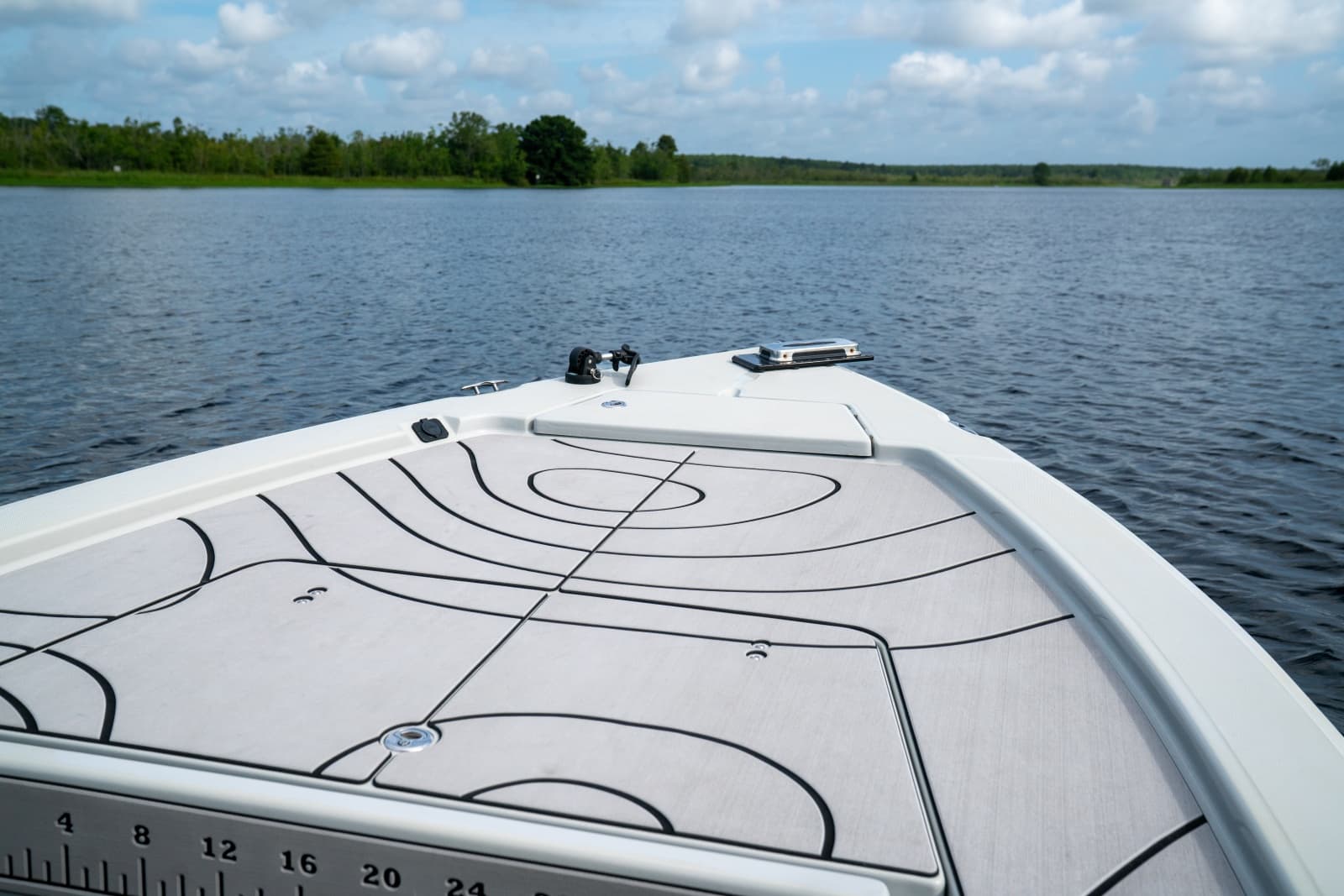 2016 Savannah 220IS - Photo 6