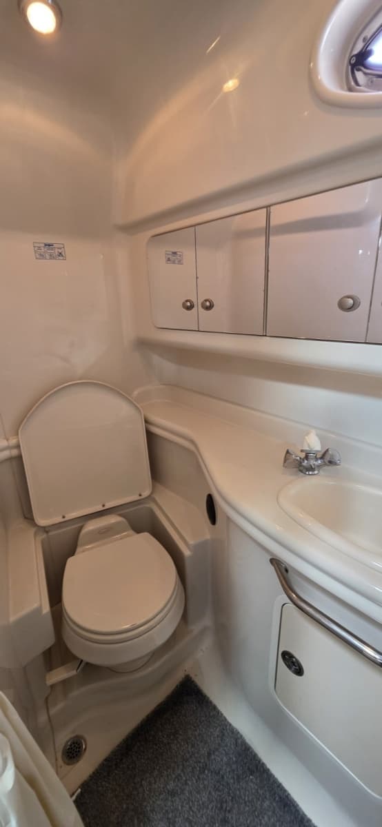 2006 Sea Ray 340 Sundancer - Photo 29