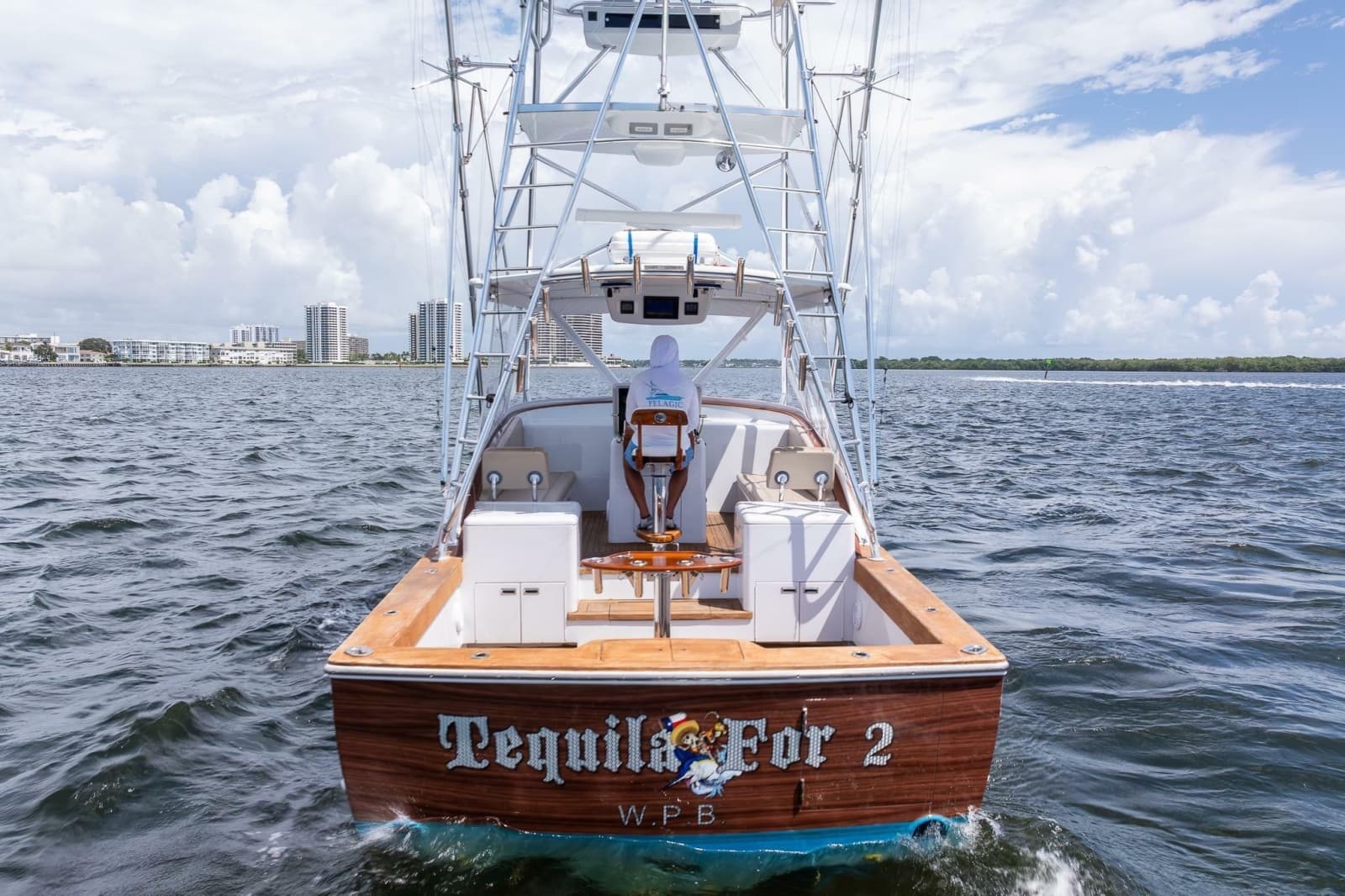 2001 Predator 35 Express - Photo 5