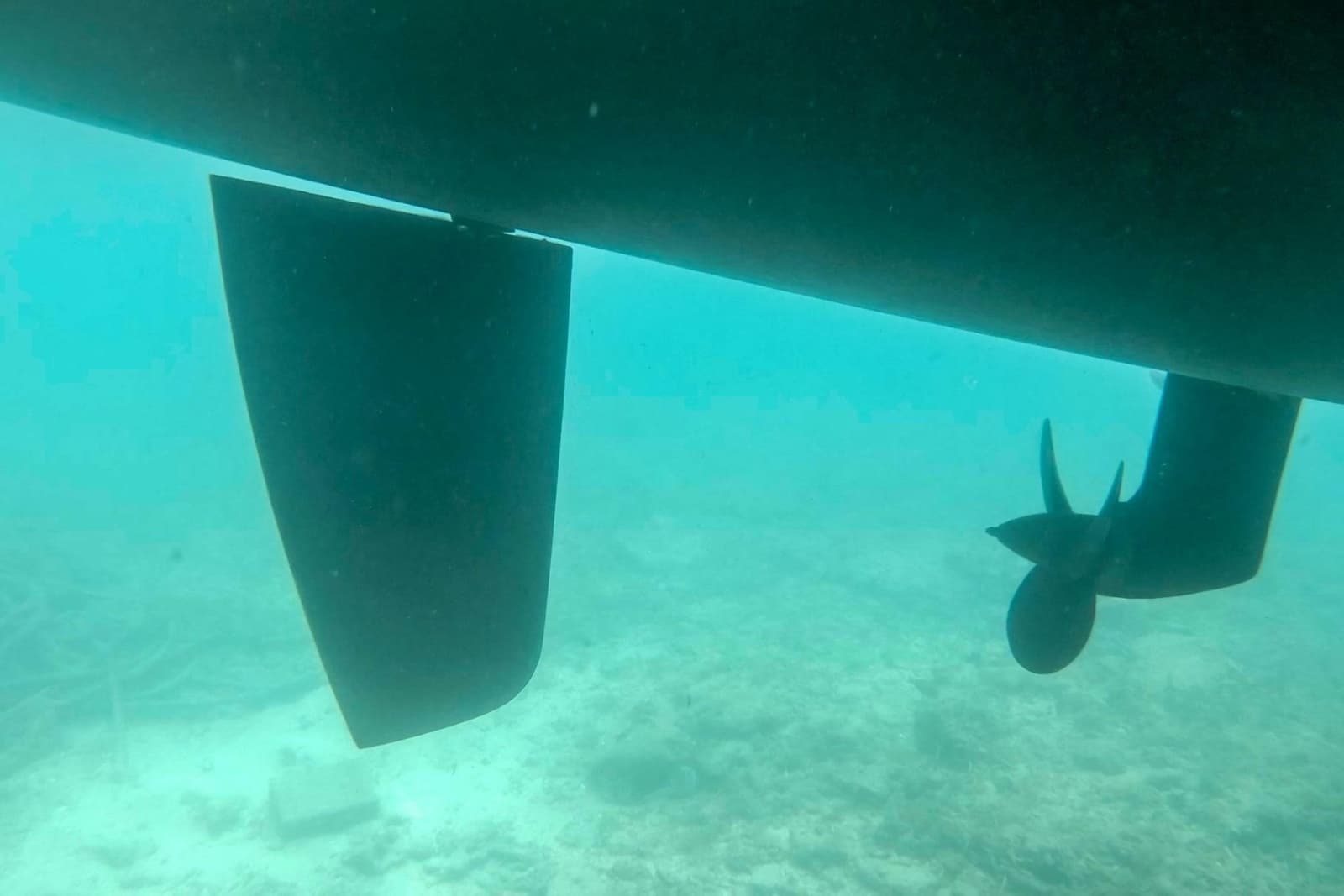 2020 Bali 4.1 - Photo 46