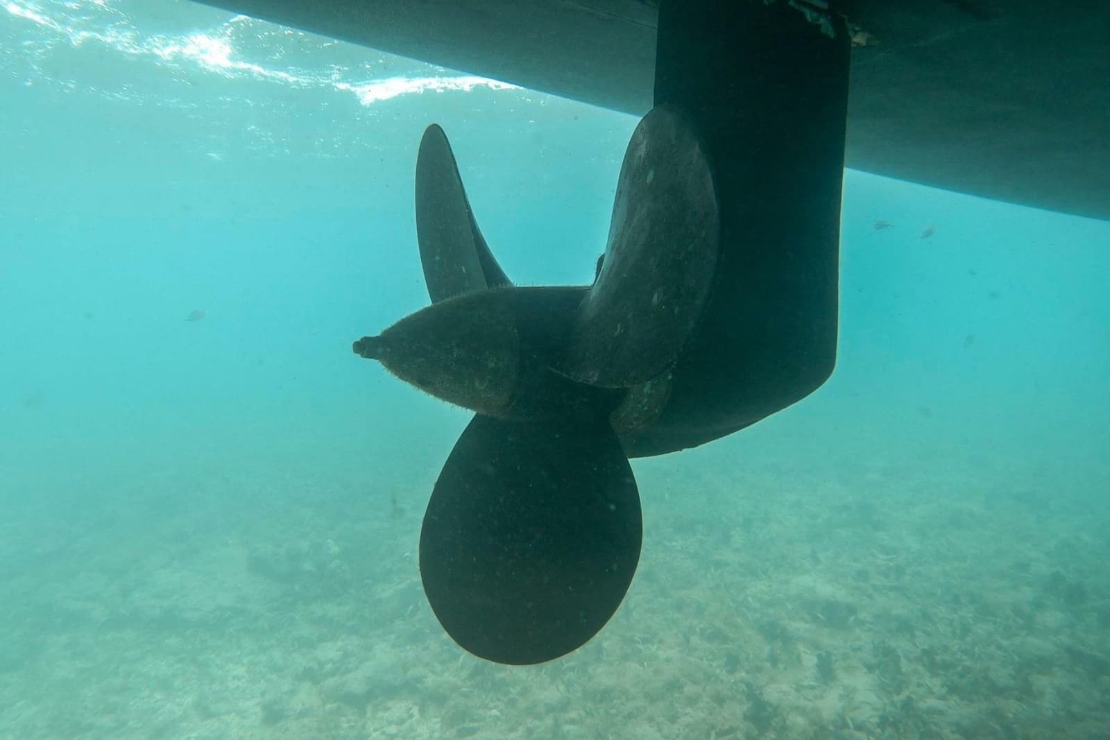 2020 Bali 4.1 - Photo 45