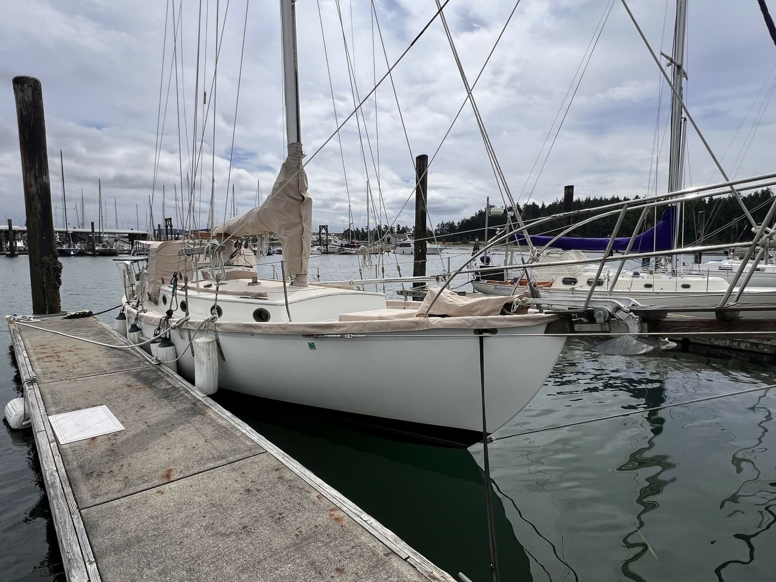 1977 Alajuela Yacht Corp. 38 - Photo 15