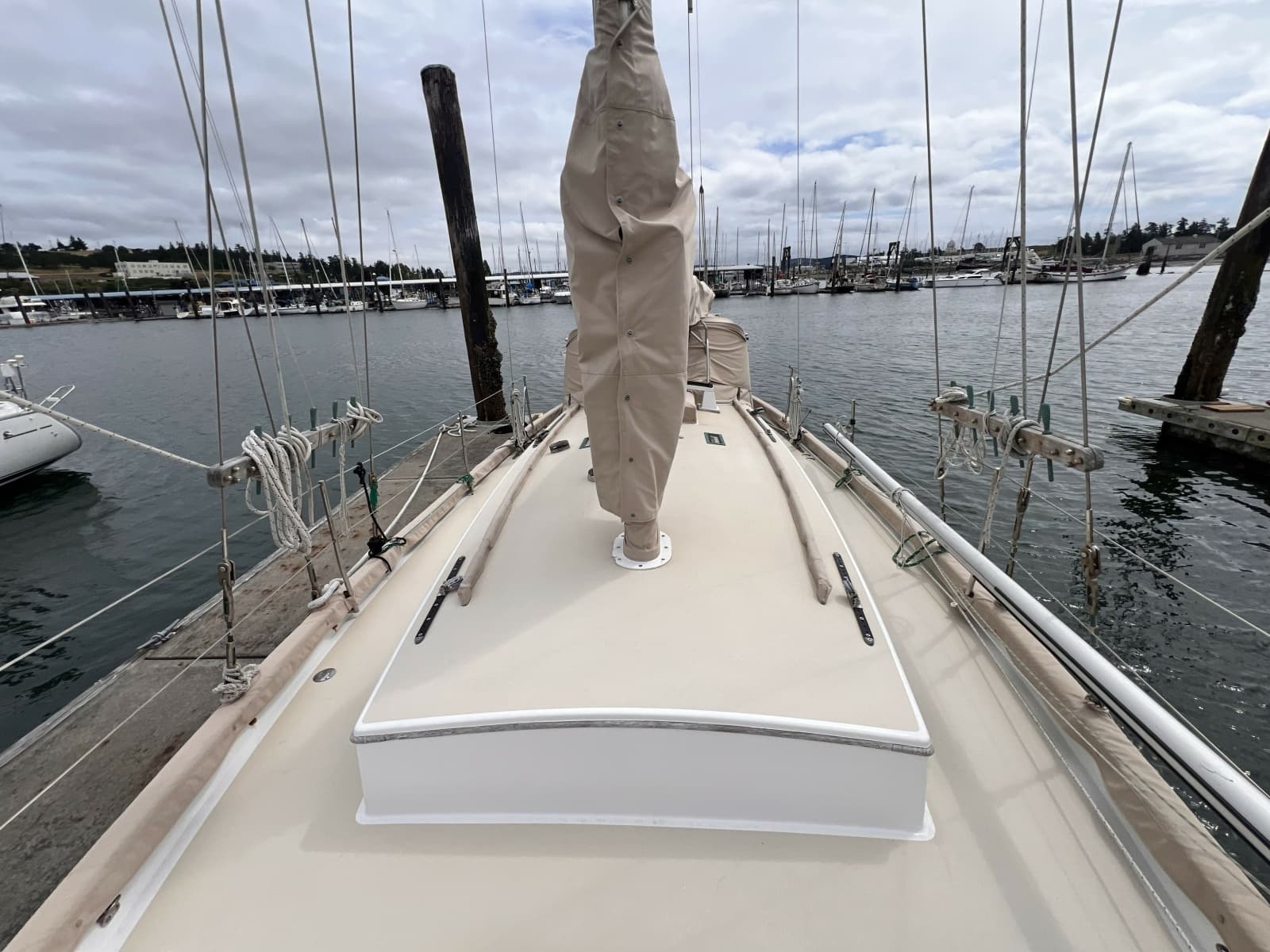 1977 Alajuela Yacht Corp. 38 - Photo 10