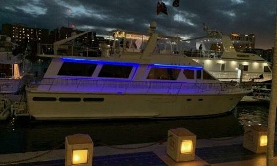 1988 Viking Motor Yacht - Photo 6
