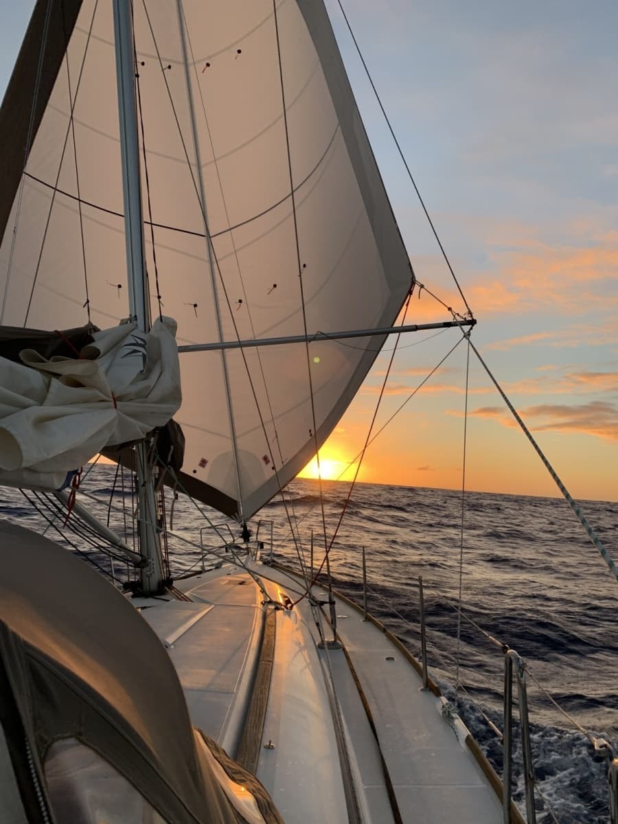 2016 Jeanneau Sun Odyssey 449 - Photo 25