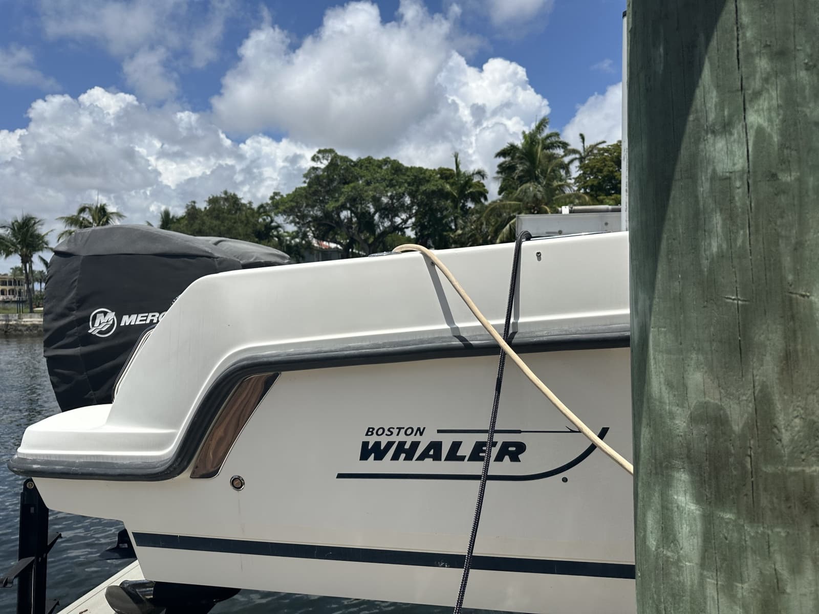 2015 Boston Whaler  - Photo 11