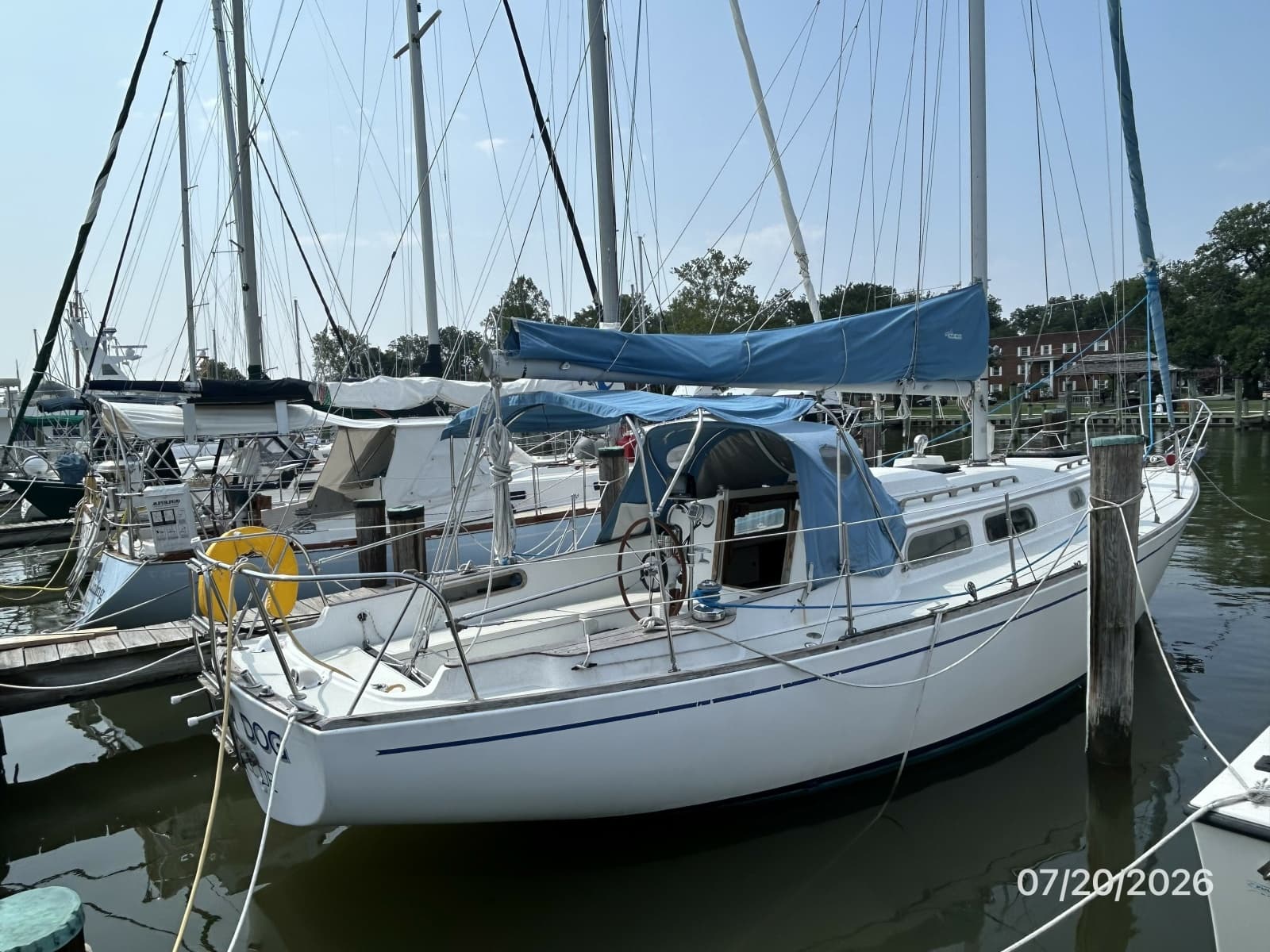 1979 Pearson Sloop - Photo 3