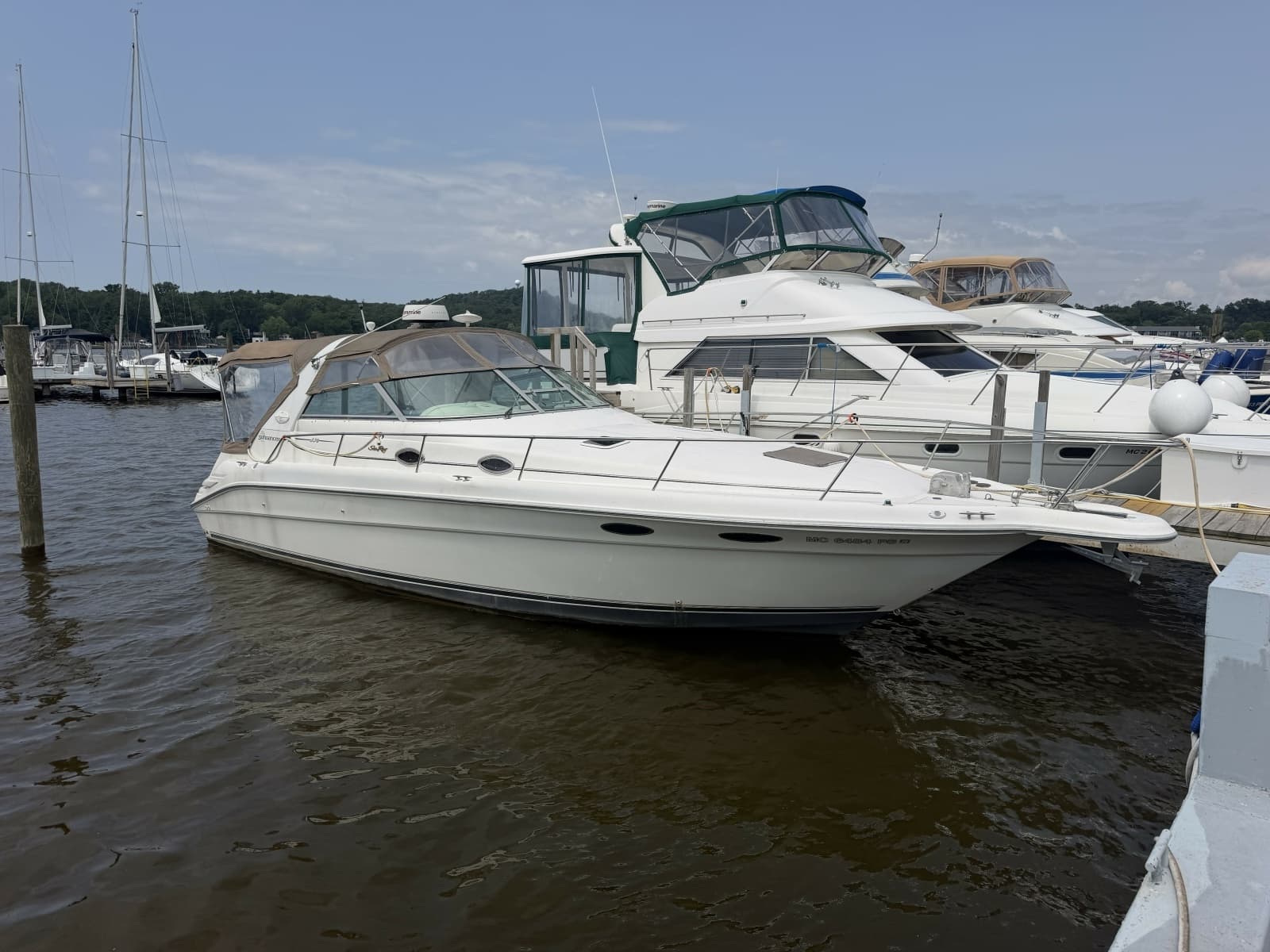 1996 Sea Ray 330 Sundancer - Photo 1