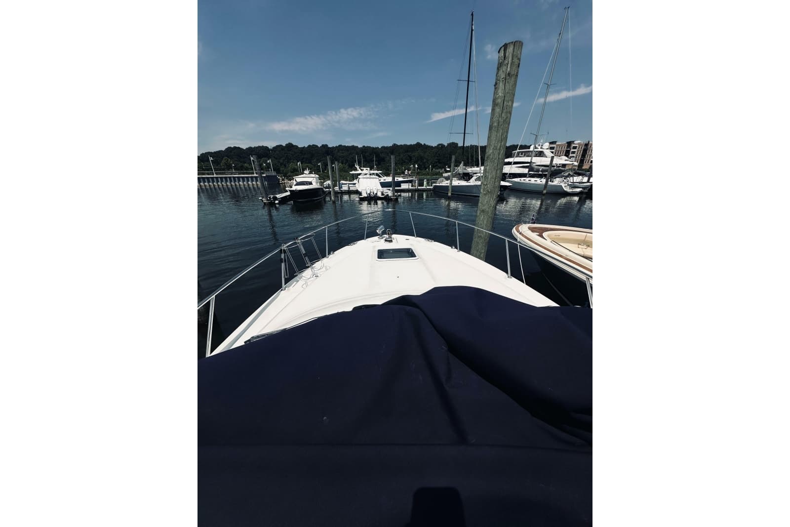 2005 Sea Ray 29 Amberjack - Photo 21